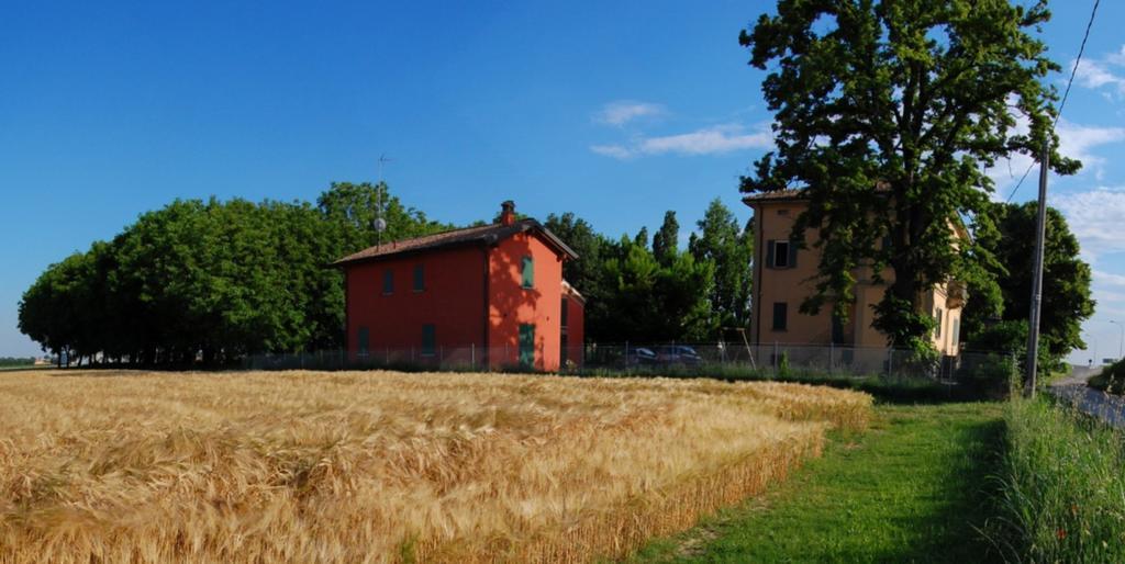 بودريو B&B L'Alberone المظهر الخارجي الصورة